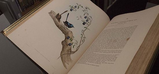 Treasures from the Rare Book Room