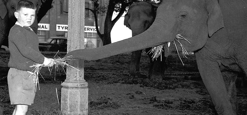 Hunter PhotoBank